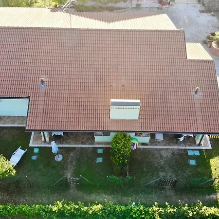 Lizzarola Peschiera del Garda