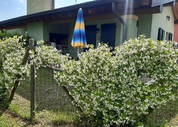 Lizzarola * Peschiera del Garda