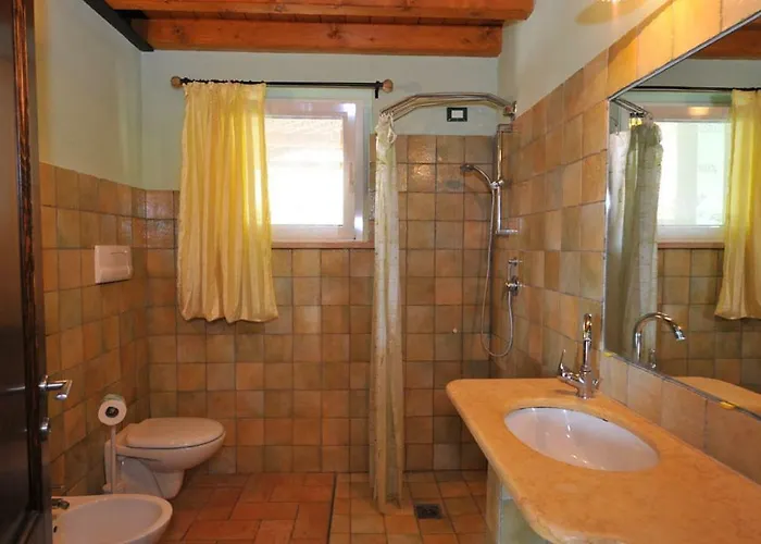 Lizzarola Peschiera del Garda