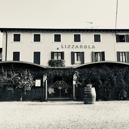 Lizzarola *